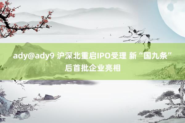 ady@ady9 沪深北重启IPO受理 新“国九条”后首批企业亮相