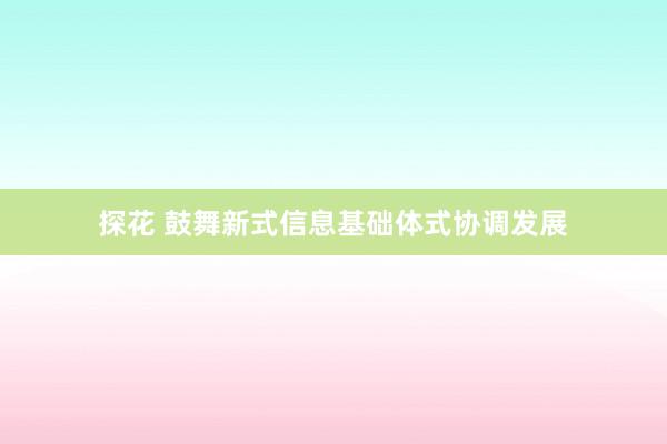 探花 鼓舞新式信息基础体式协调发展