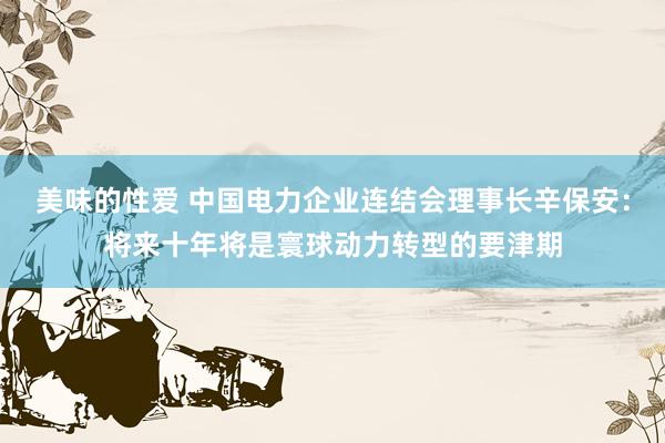 美味的性爱 中国电力企业连结会理事长辛保安：将来十年将是寰球动力转型的要津期