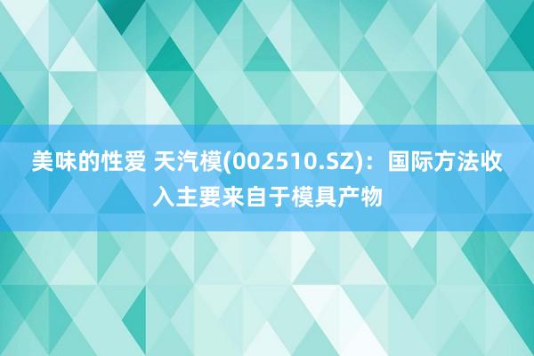 美味的性爱 天汽模(002510.SZ)：国际方法收入主要来自于模具产物