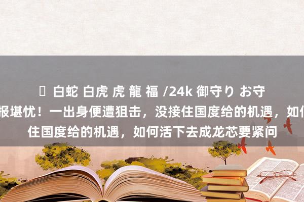 ✨白蛇 白虎 虎 龍 福 /24k 御守り お守り 暗暗成长的龙芯财报堪忧！一出身便遭狙击，没接住国度给的机遇，如何活下去成龙芯要紧问