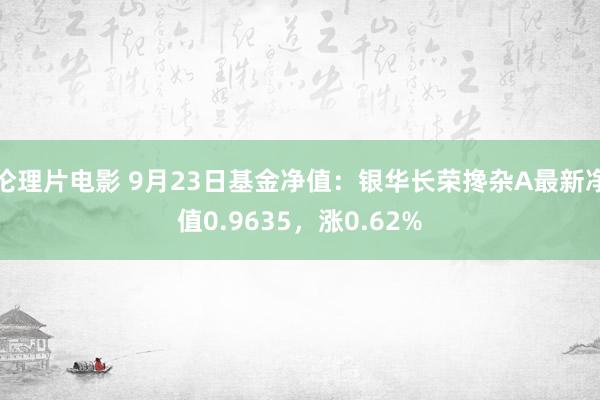 伦理片电影 9月23日基金净值：银华长荣搀杂A最新净值0.9635，涨0.62%