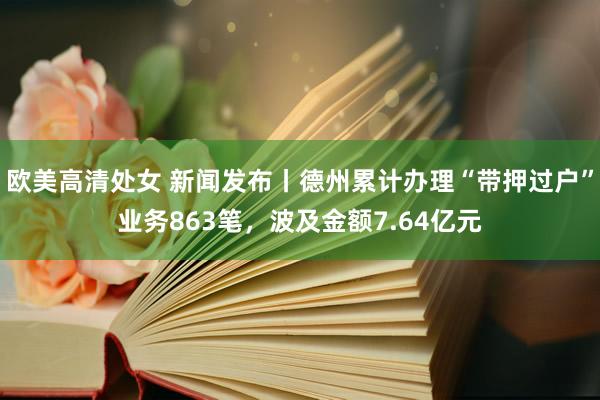 欧美高清处女 新闻发布丨德州累计办理“带押过户”业务863笔，波及金额7.64亿元