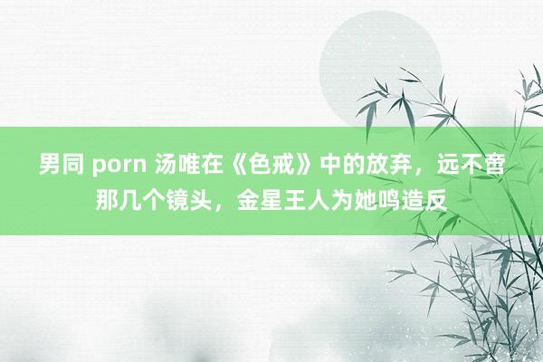 男同 porn 汤唯在《色戒》中的放弃，远不啻那几个镜头，金星王人为她鸣造反