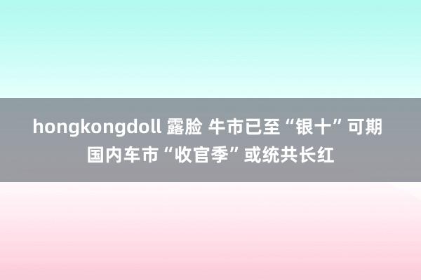 hongkongdoll 露脸 牛市已至“银十”可期 国内车市“收官季”或统共长红