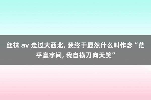 丝袜 av 走过大西北， 我终于显然什么叫作念“茫乎寰宇间， 我自横刀向天笑”