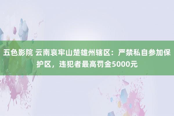 五色影院 云南哀牢山楚雄州辖区：严禁私自参加保护区，违犯者最高罚金5000元