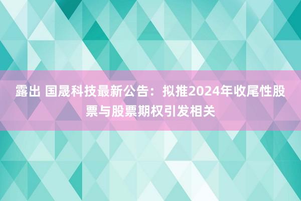 露出 国晟科技最新公告：拟推2024年收尾性股票与股票期权引发相关