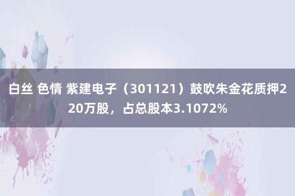 白丝 色情 紫建电子（301121）鼓吹朱金花质押220万股，占总股本3.1072%