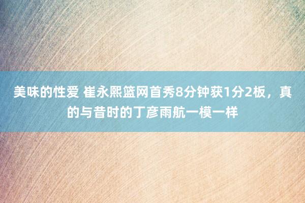 美味的性爱 崔永熙篮网首秀8分钟获1分2板，真的与昔时的丁彦雨航一模一样