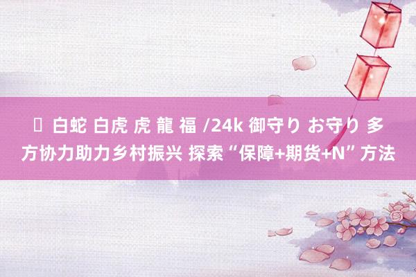 ✨白蛇 白虎 虎 龍 福 /24k 御守り お守り 多方协力助力乡村振兴 探索“保障+期货+N”方法