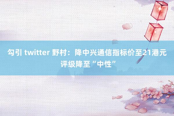 勾引 twitter 野村：降中兴通信指标价至21港元 评级降至“中性”