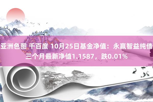 亚洲色图 千百度 10月25日基金净值：永赢智益纯债三个月最新净值1.1587，跌0.01%