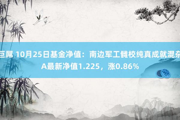 巨屌 10月25日基金净值：南边军工雠校纯真成就混杂A最新净值1.225，涨0.86%