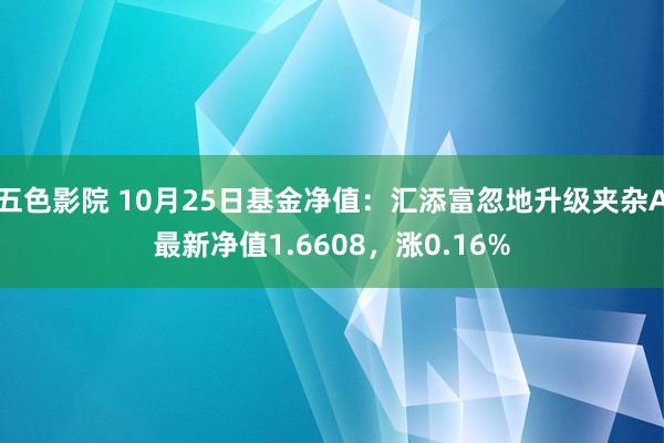 五色影院 10月25日基金净值：汇添富忽地升级夹杂A最新净值1.6608，涨0.16%