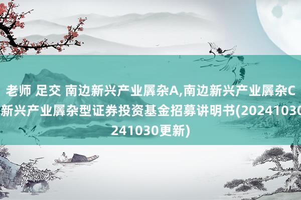 老师 足交 南边新兴产业羼杂A，南边新兴产业羼杂C: 南边新兴产业羼杂型证券投资基金招募讲明书(20241030更新)