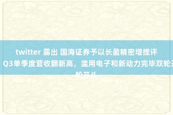 twitter 露出 国海证券予以长盈精密增捏评级：Q3单季度营收翻新高，滥用电子和新动力完毕双轮开头