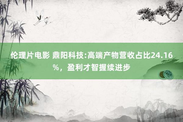 伦理片电影 鼎阳科技:高端产物营收占比24.16%，盈利才智握续进步