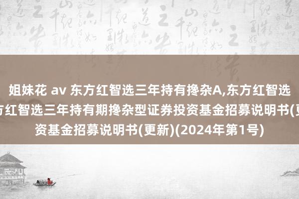 姐妹花 av 东方红智选三年持有搀杂A，东方红智选三年持有搀杂C: 东方红智选三年持有期搀杂型证券投资基金招募说明书(更新)(2024年第1号)