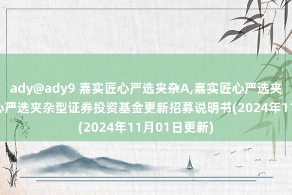 ady@ady9 嘉实匠心严选夹杂A，嘉实匠心严选夹杂C: 嘉实匠心严选夹杂型证券投资基金更新招募说明书(2024年11月01日更新)