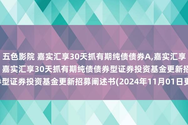 五色影院 嘉实汇享30天抓有期纯债债券A，嘉实汇享30天抓有期纯债债券C: 嘉实汇享30天抓有期纯债债券型证券投资基金更新招募阐述书(2024年11月01日更新)