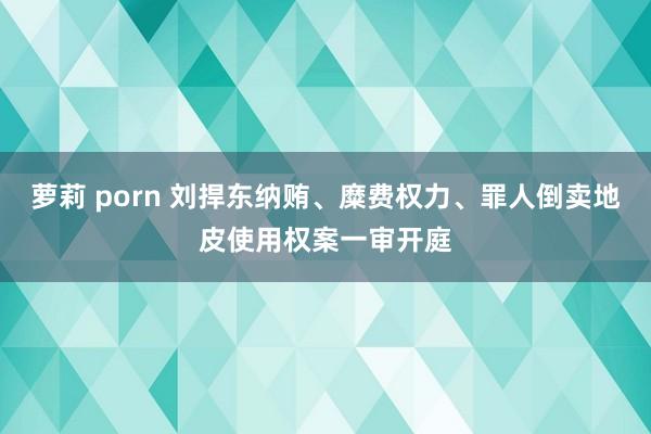 萝莉 porn 刘捍东纳贿、糜费权力、罪人倒卖地皮使用权案一审开庭