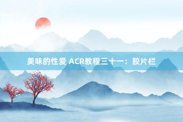 美味的性爱 ACR教程三十一：胶片栏