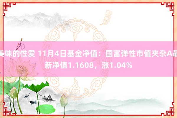 美味的性爱 11月4日基金净值：国富弹性市值夹杂A最新净值1.1608，涨1.04%