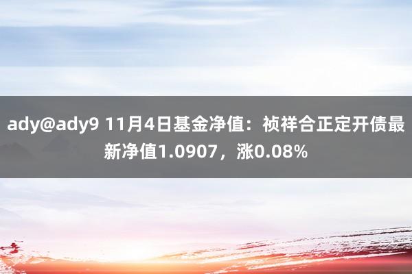 ady@ady9 11月4日基金净值：祯祥合正定开债最新净值1.0907，涨0.08%