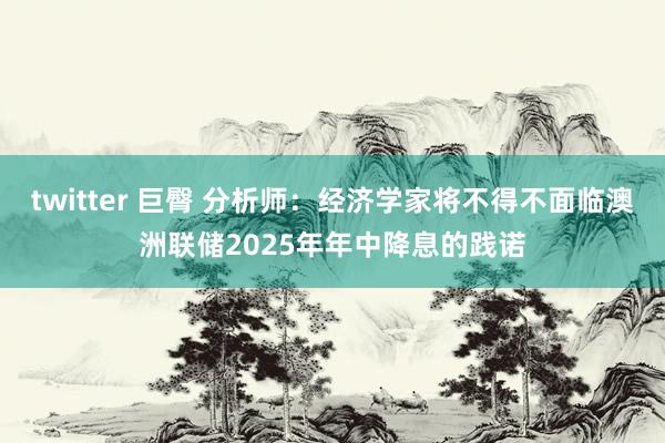 twitter 巨臀 分析师：经济学家将不得不面临澳洲联储2025年年中降息的践诺