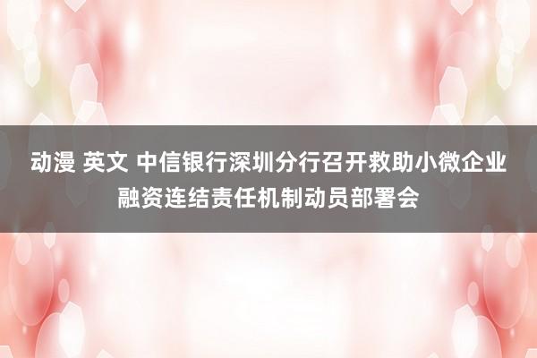 动漫 英文 中信银行深圳分行召开救助小微企业融资连结责任机制动员部署会