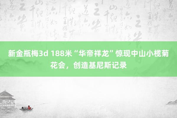 新金瓶梅3d 188米“华帝祥龙”惊现中山小榄菊花会，创造基尼斯记录