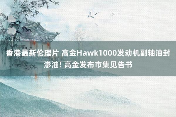 香港最新伦理片 高金Hawk1000发动机副轴油封渗油! 高金发布市集见告书