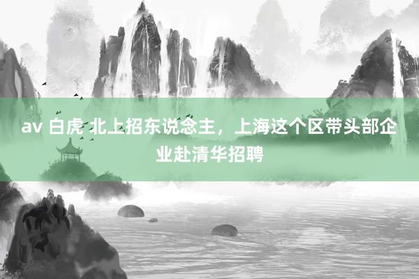 av 白虎 北上招东说念主，上海这个区带头部企业赴清华招聘