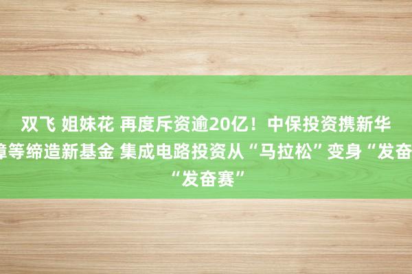 双飞 姐妹花 再度斥资逾20亿！中保投资携新华保障等缔造新基金 集成电路投资从“马拉松”变身“发奋赛”