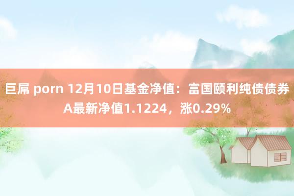 巨屌 porn 12月10日基金净值：富国颐利纯债债券A最新净值1.1224，涨0.29%