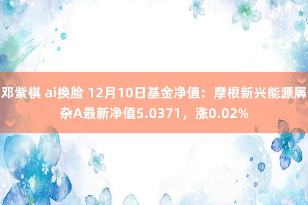 邓紫棋 ai换脸 12月10日基金净值：摩根新兴能源羼杂A最新净值5.0371，涨0.02%