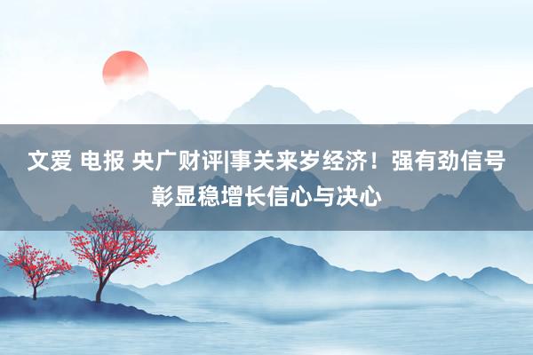 文爱 电报 央广财评|事关来岁经济！强有劲信号彰显稳增长信心与决心