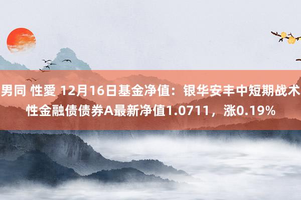 男同 性愛 12月16日基金净值：银华安丰中短期战术性金融债债券A最新净值1.0711，涨0.19%