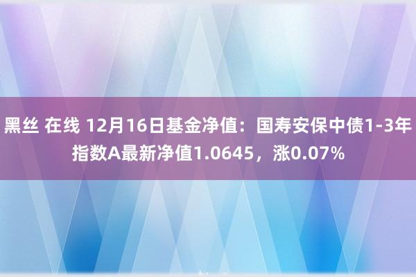 黑丝 在线 12月16日基金净值：国寿安保中债1-3年指数A最新净值1.0645，涨0.07%