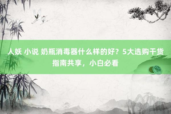 人妖 小说 奶瓶消毒器什么样的好？5大选购干货指南共享，小白必看