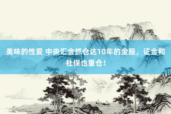 美味的性爱 中央汇金抓仓达10年的金股，证金和社保也重仓！