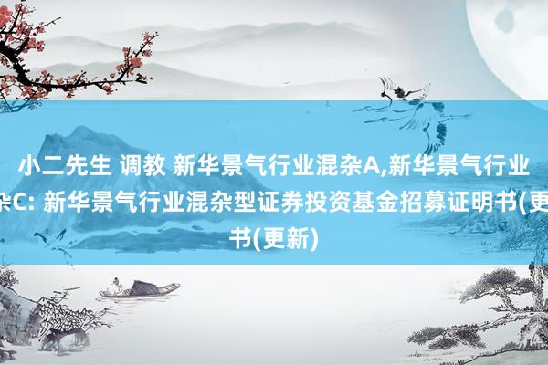 小二先生 调教 新华景气行业混杂A，新华景气行业混杂C: 新华景气行业混杂型证券投资基金招募证明书(更新)