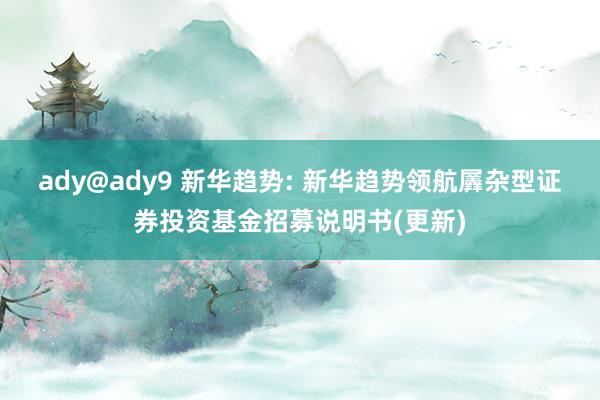 ady@ady9 新华趋势: 新华趋势领航羼杂型证券投资基金招募说明书(更新)