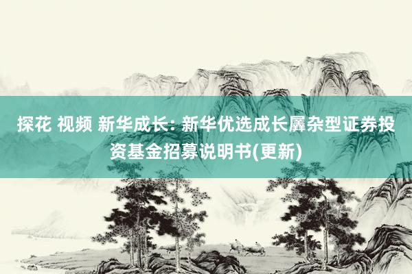 探花 视频 新华成长: 新华优选成长羼杂型证券投资基金招募说明书(更新)