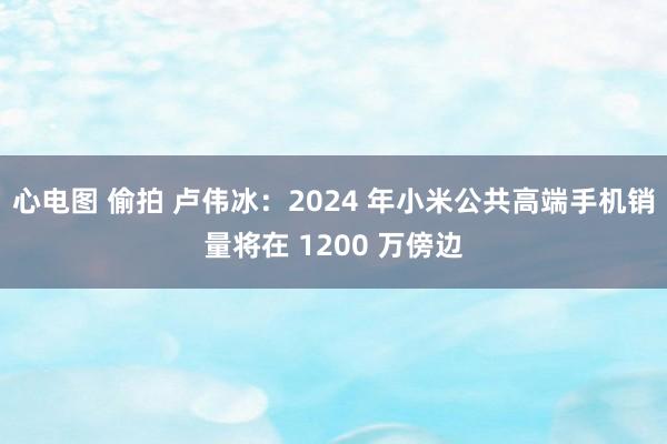 心电图 偷拍 卢伟冰：2024 年小米公共高端手机销量将在 1200 万傍边