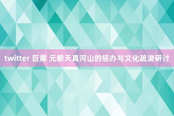 twitter 巨屌 元朝天真河山的惩办与文化疏浚研讨