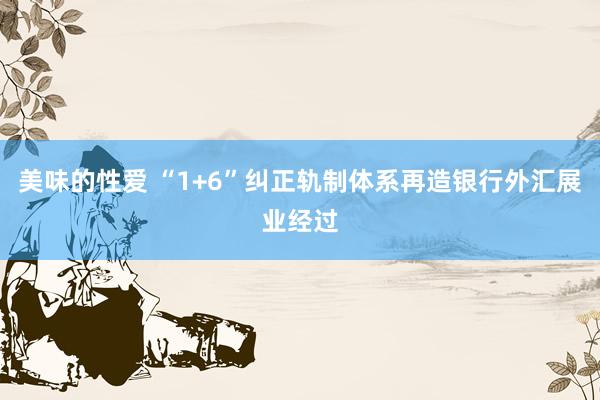 美味的性爱 “1+6”纠正轨制体系再造银行外汇展业经过