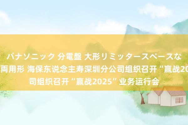 パナソニック 分電盤 大形リミッタースペースなし 露出・半埋込両用形 海保东说念主寿深圳分公司组织召开“赢战2025”业务运行会