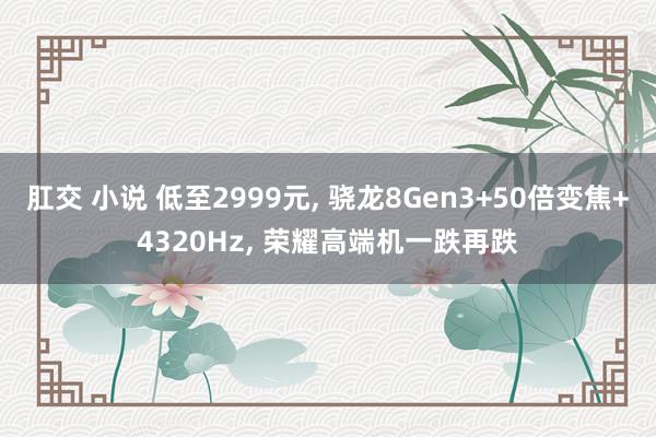 肛交 小说 低至2999元， 骁龙8Gen3+50倍变焦+4320Hz， 荣耀高端机一跌再跌